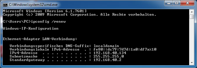 Ipconfig renew