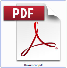 PDF-Datei