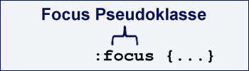 Focus Pseudoklasse
