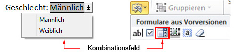 Dropdownliste in Word einfügen