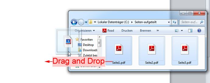 Einzelne PDF in Word einfügen