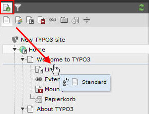 Seiten in Typo3 anlegen