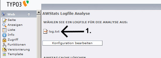 Awstats in Typo3 aufrufen