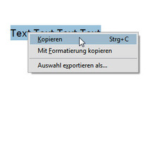 Eingeschränktes Kontextmenü im PDF