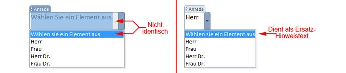 Ersteintrag der Auswahlliste und Hinweistext